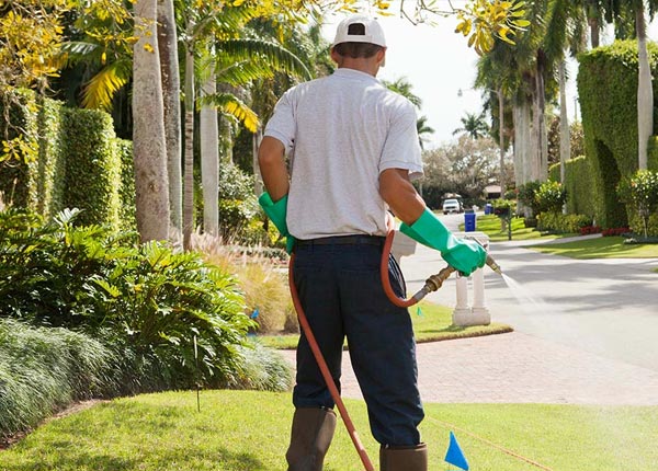 About Hyampom CA Pest Control